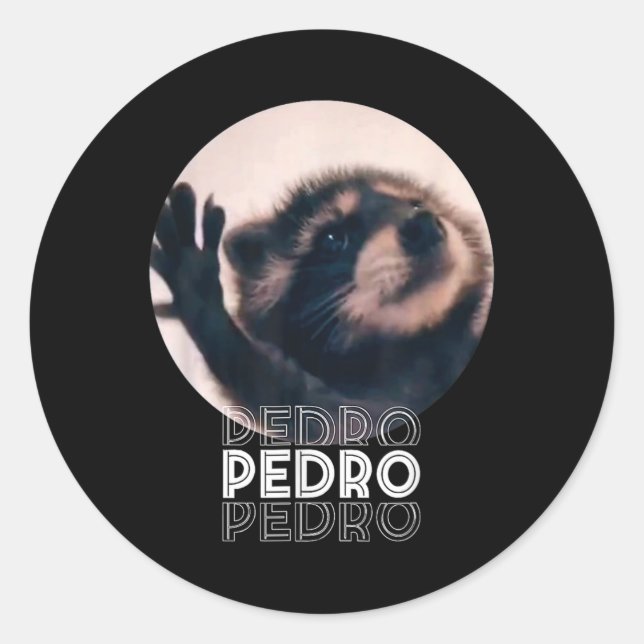 Pedro Racoon Dance Populäre Internet Meme Mapache  Runder Aufkleber (Vorderseite)