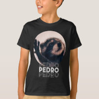 Pedro Racoon Dance Populäre Internet Meme Mapache