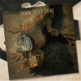 Pedro the Iguana 0768