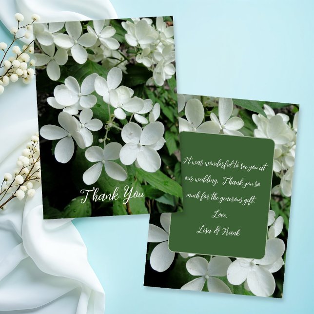 Pee Gee Hydrangea Weiße Blume Blank Karte (Von Creator hochgeladen)