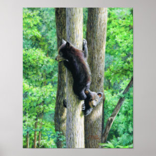 Peek-a-Bär Poster