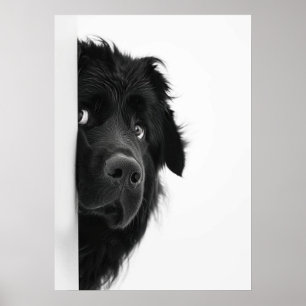Peek-a-Boo Pup – Lustiger Hunde-Fotodruck Poster