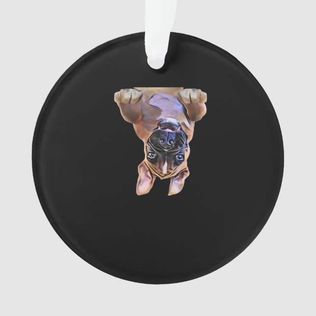 Peekaboo Boxer Ornament (Vorderseite)