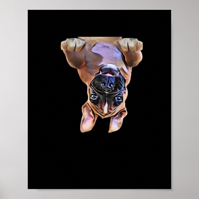 Peekaboo Boxer Poster (Vorne)
