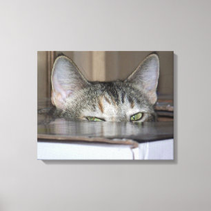 Peekaboo Cat 20"x16" Stretched Canvas Print Leinwanddruck
