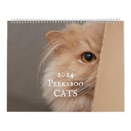 Peekaboo Cat Calendar Kalender