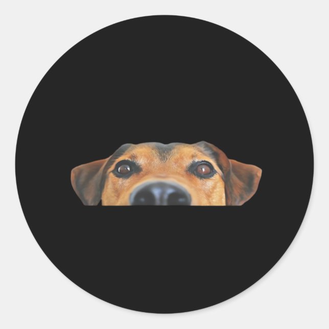 Peekaboo Dog Runder Aufkleber (Vorderseite)
