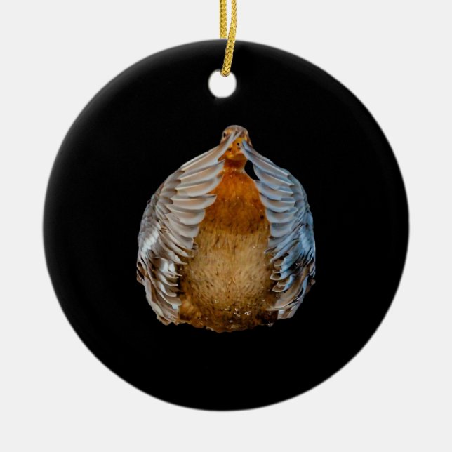 Peekaboo Duck Keramik Ornament (Vorne)