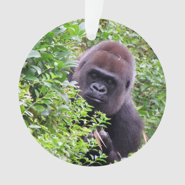 Peekaboo-Gorilla-Verzierung Ornament (Vorderseite)