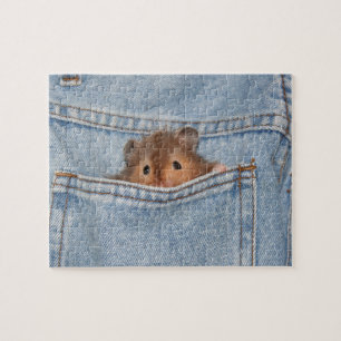 Peekaboo Hamster