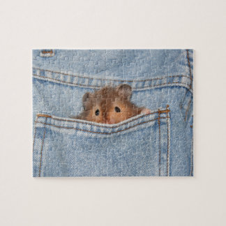 Peekaboo Hamster