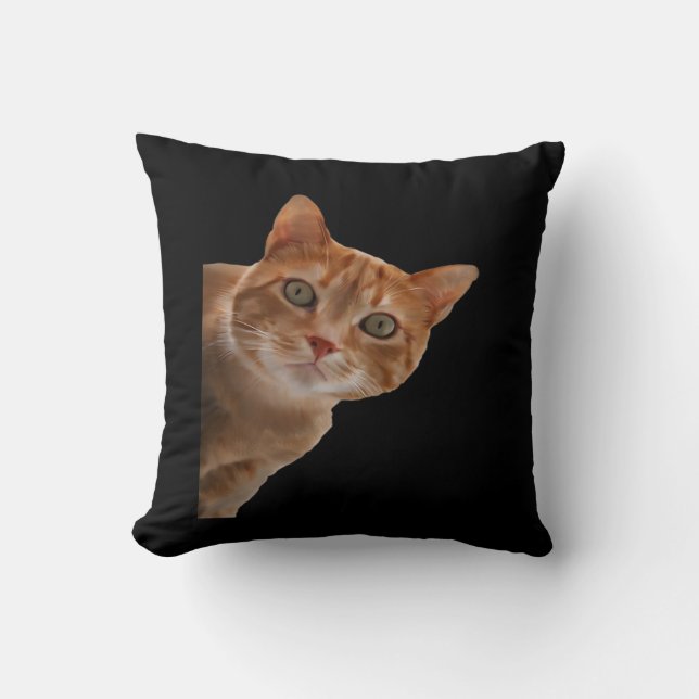 Peekaboo- Malerei Kissen (Vorderseite)