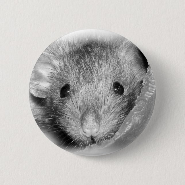 Peekaboo Rattie Knopf Button (Vorderseite)