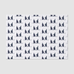 Peekaboo Tissue Paper Seidenpapier