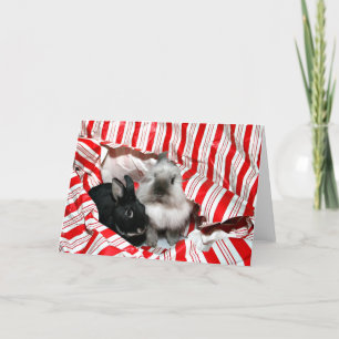 Peekaboo-Weihnachtshäschen Feiertagskarte