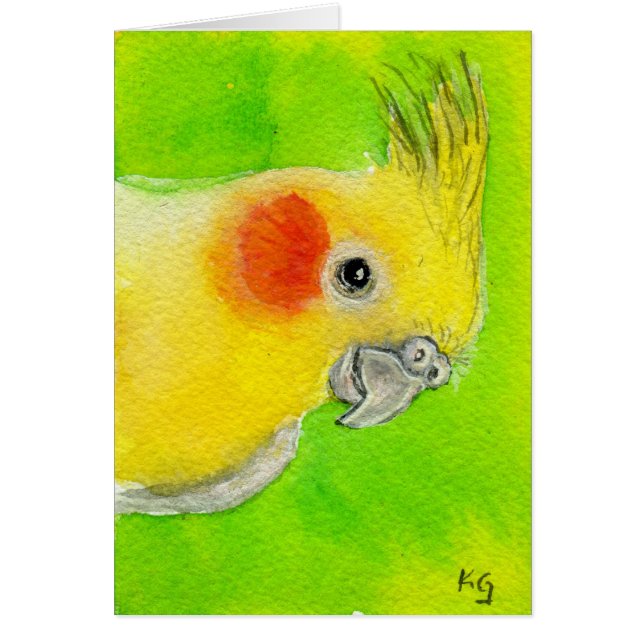 PeekabooCockatiel (Vorne)