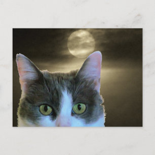 Peeking Cat und Vollmond Postkarte