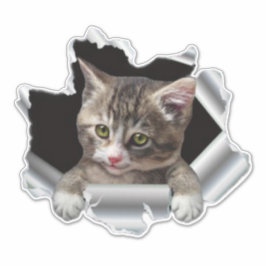Peeking Cat Vinyl Decal |Kfz-Abtrieb, Autoaufklebe Aufkleber