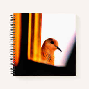 Peeking Dove Notizbuch