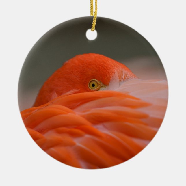 Peeking Flamingo Keramik Ornament (Vorne)