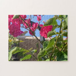 Peeking Garden Lizard