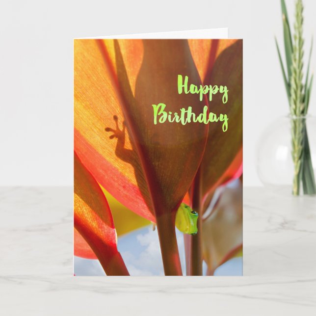 Peeking Gecko Happy Birthday Karte (Vorderseite)