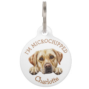 Peeking Golden Labrador Puppy Personalisiert Haustiermarke