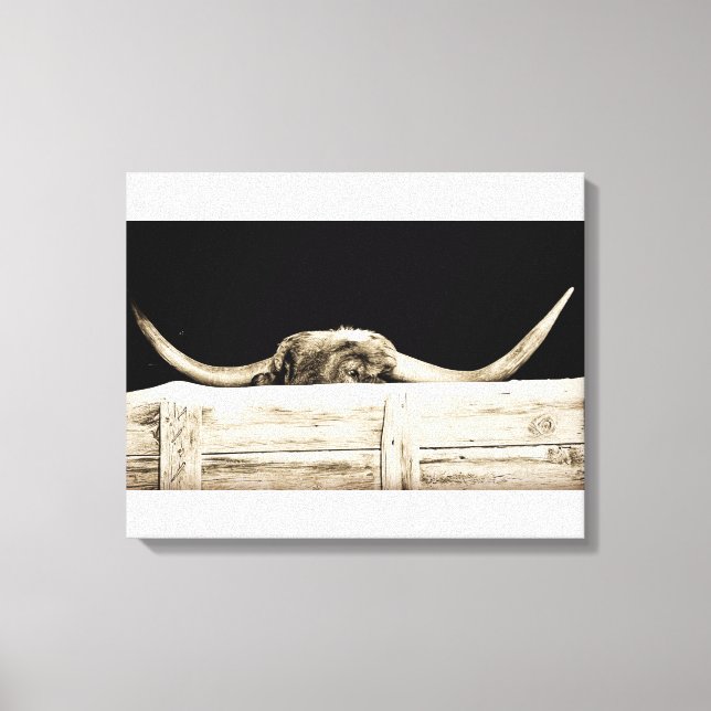 Peeking longhorn leinwanddruck (Vorderseite)