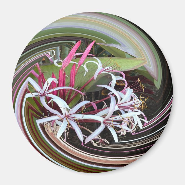 Peeking out...... magnet (Vorne)