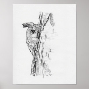 Peeking Owl" Poster