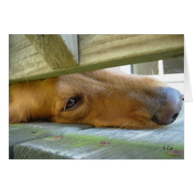 Peeking, S Cyr (Vorderseite (Horizontal))