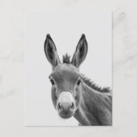 Peeking Sneaky Donkey Niedlich