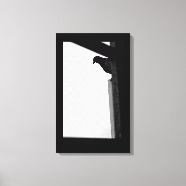 Peeking-Taube Leinwanddruck (Vorderseite)