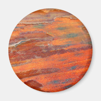 Peeling Wood Magnet