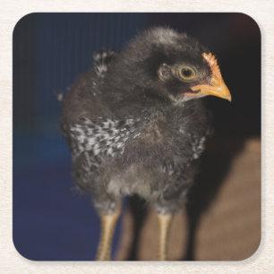 Peep Rechteckiger Pappuntersetzer