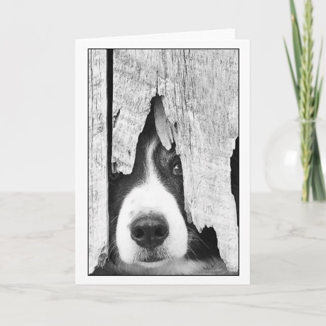 Peepeye2 Karte (Vorderseite)