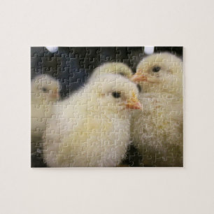 Peeps