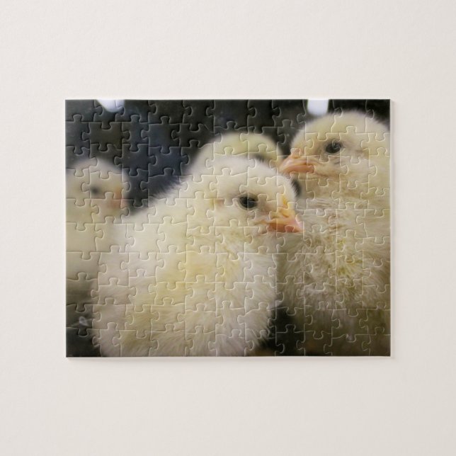 Peeps (Horizontal)