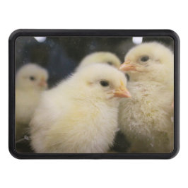 Peeps Abschlepphaken Cover