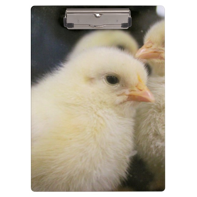 Peeps Klemmbrett (Vorderseite)