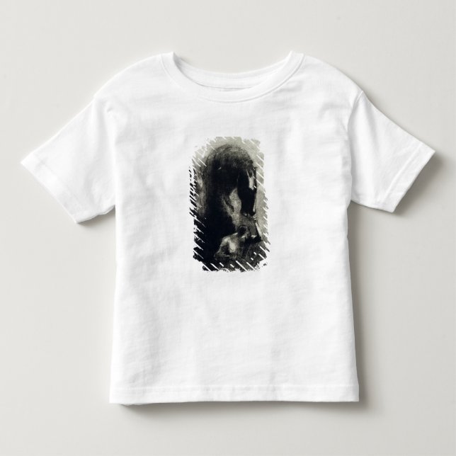 Pegasus Kleinkind T-shirt (Vorderseite)