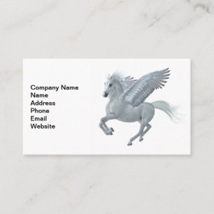Pegasus Start Visitenkarte