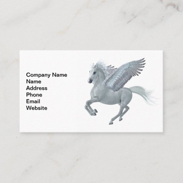 Pegasus Start Visitenkarte (Vorderseite)