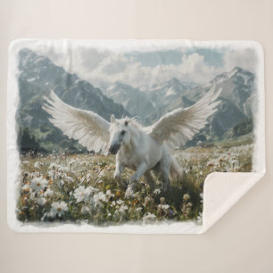 Pegasus Vorbereitung auf den Start Sherpadecke