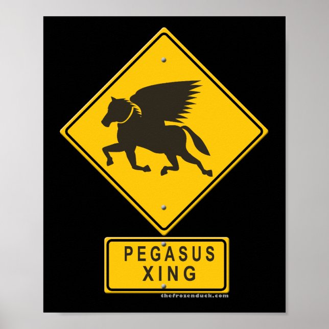 Pegasus XING Poster (Vorne)