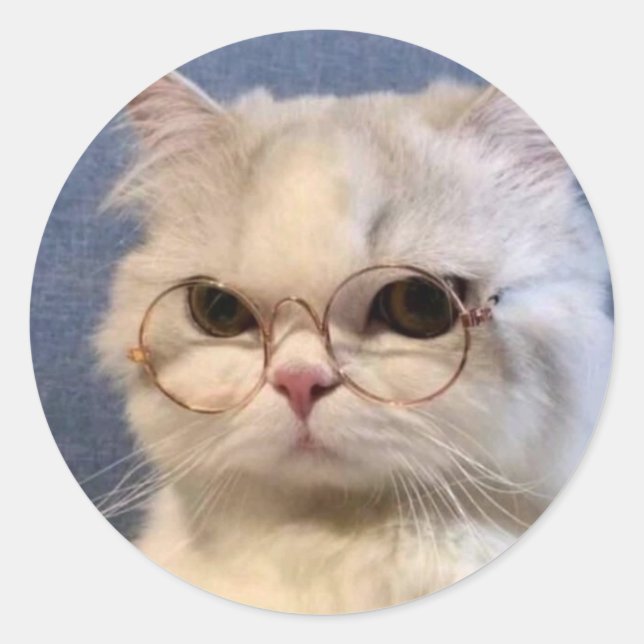 Pegatina de gato runder aufkleber (Vorderseite)