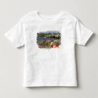 Peggy's Cove, Nova Scotia, Kanada 2