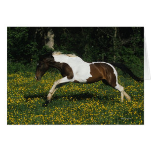 Peignez le cheval fonctionnant dans le domaine des