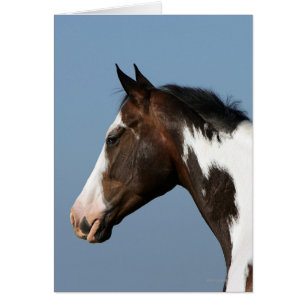 Peignez le Headshot 1 de cheval