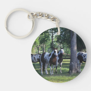 Peignez les chevaux dans les arbres